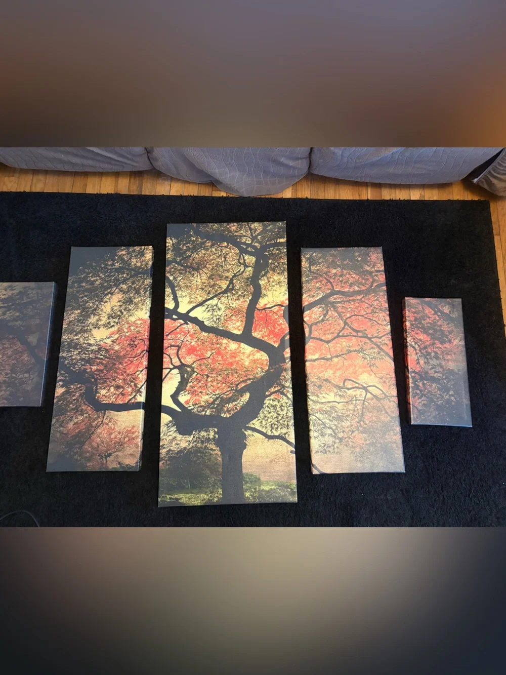 Sunlit Maple Tree Canvas Wall Art - Multicolor